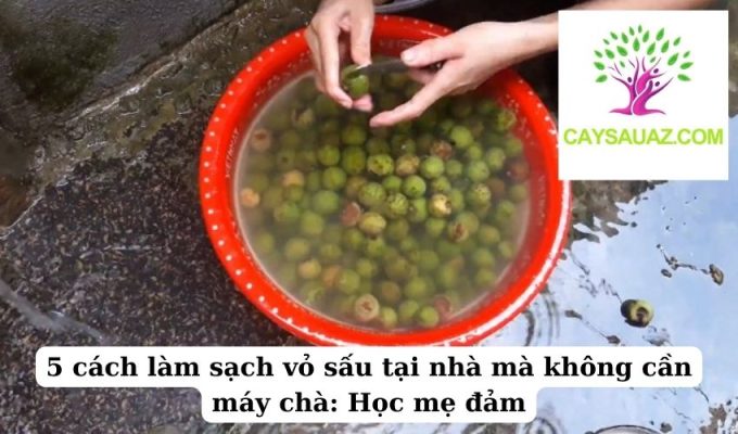 5 cách làm sạch vỏ sấu tại nhà mà không cần máy chà Học mẹ đảm