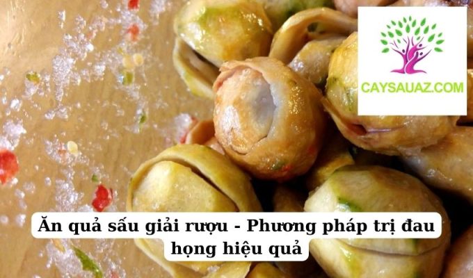 Ăn quả sấu giải rượu - Phương pháp trị đau họng hiệu quả