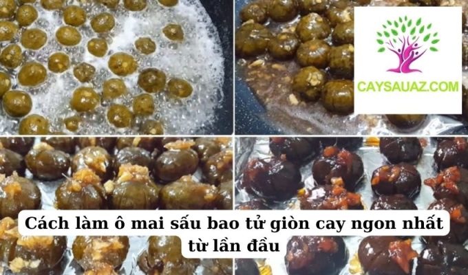 Cách làm ô mai sấu bao tử giòn cay ngon nhất từ lần đầu