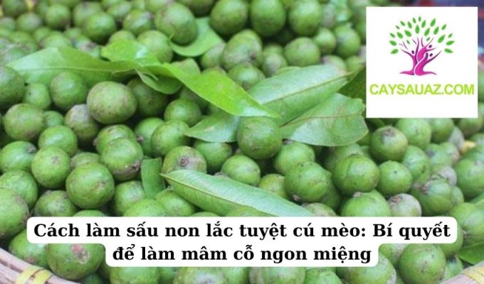 Cách làm sấu non lắc tuyệt cú mèo Bí quyết để làm mâm cỗ ngon miệng