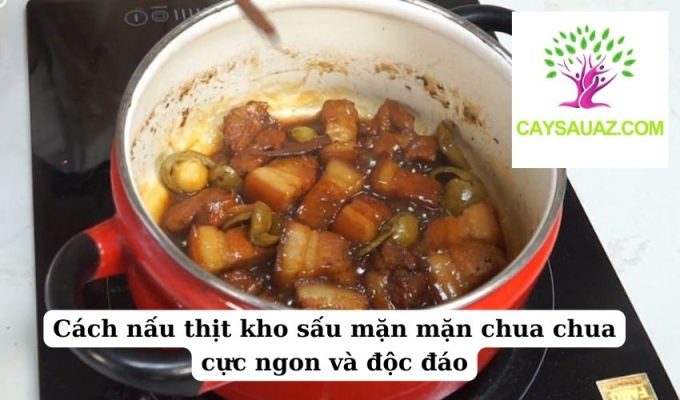 Cách nấu thịt kho sấu mặn mặn chua chua cực ngon và độc đáo