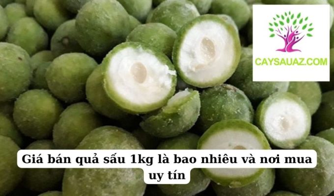 Giá bán quả sấu 1kg là bao nhiêu và nơi mua uy tín