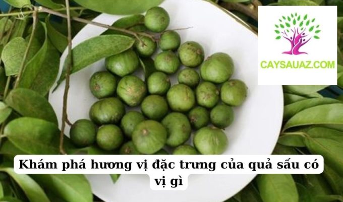 Khám phá hương vị đặc trưng của quả sấu có vị gì