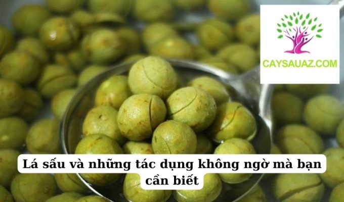 Lá sấu và những tác dụng không ngờ mà bạn cần biết