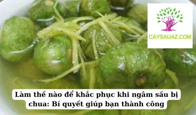 Làm thế nào để khắc phục khi ngâm sấu bị chua Bí quyết giúp bạn thành công