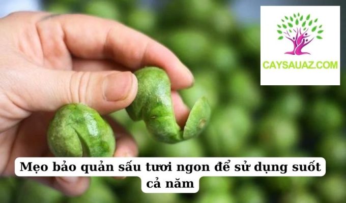 Mẹo bảo quản sấu tươi ngon để sử dụng suốt cả năm