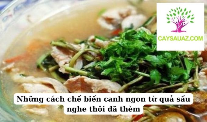 Những cách chế biến canh ngon từ quả sấu nghe thôi đã thèm