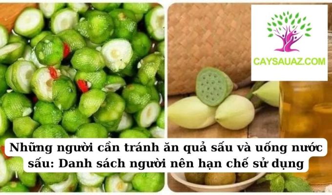 Những người cần tránh ăn quả sấu và uống nước sấu Danh sách người nên hạn chế sử dụng