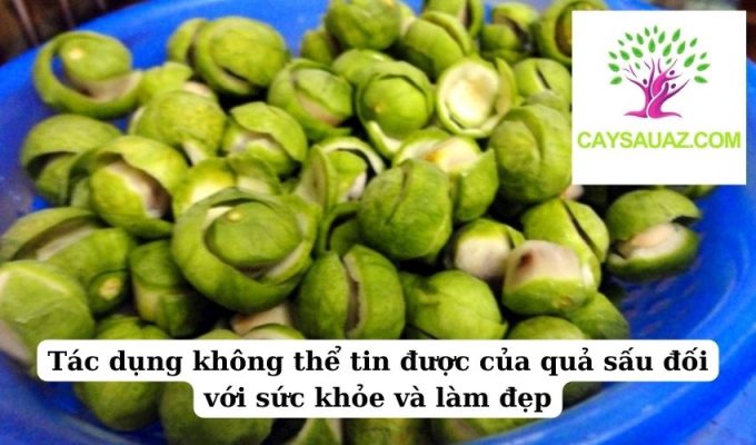 Tác dụng không thể tin được của quả sấu đối với sức khỏe và làm đẹp