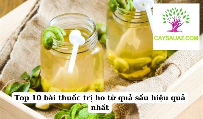 Top 10 bài thuốc trị ho từ quả sấu hiệu quả nhất